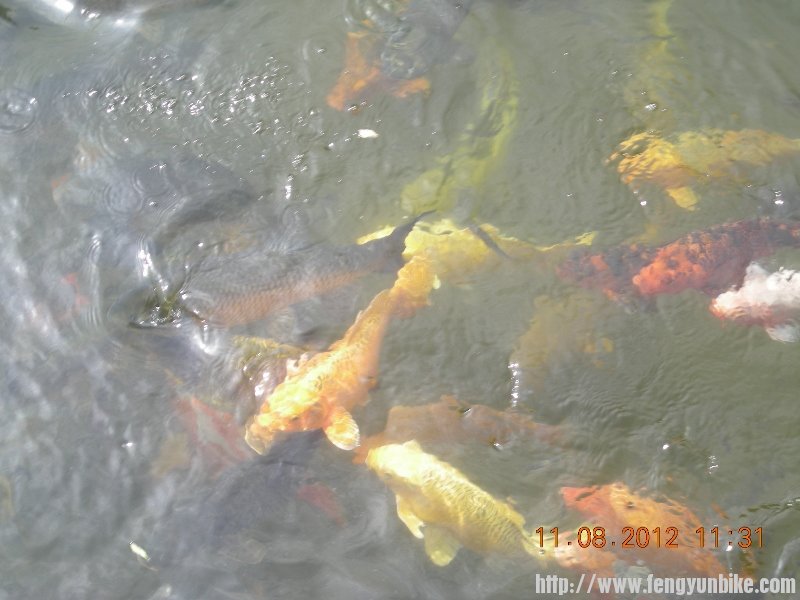 DSCN1887 (800x600).jpg