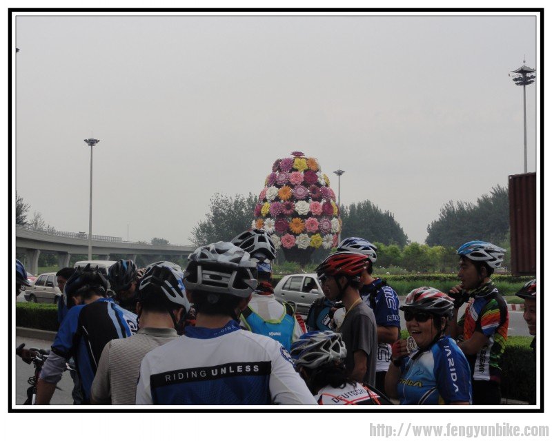 到环岛活动结束