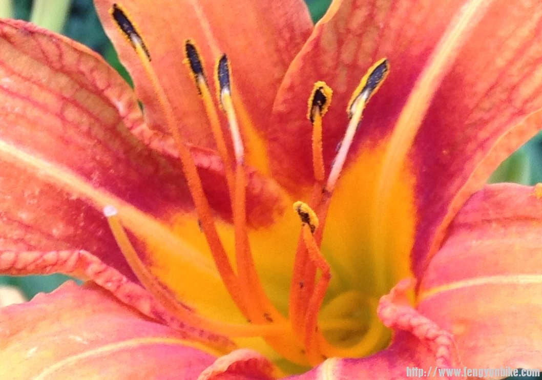 7月29日圣泉寺 001.jpg