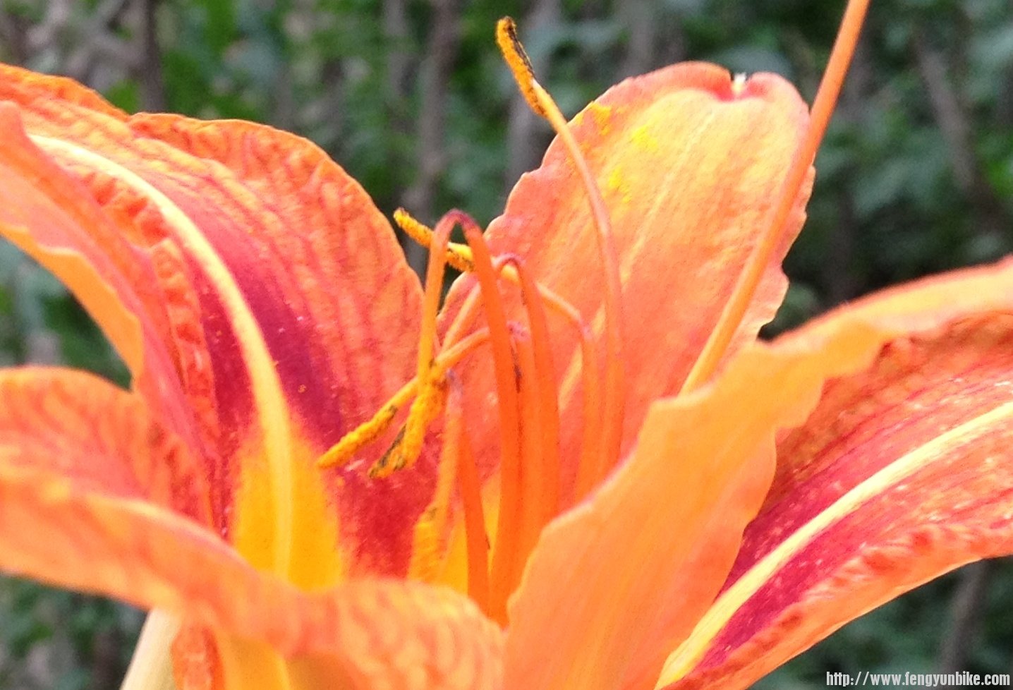 7月29日圣泉寺 002.jpg