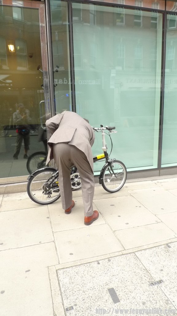 新鲜出炉，中年白领刚买的燕鸥