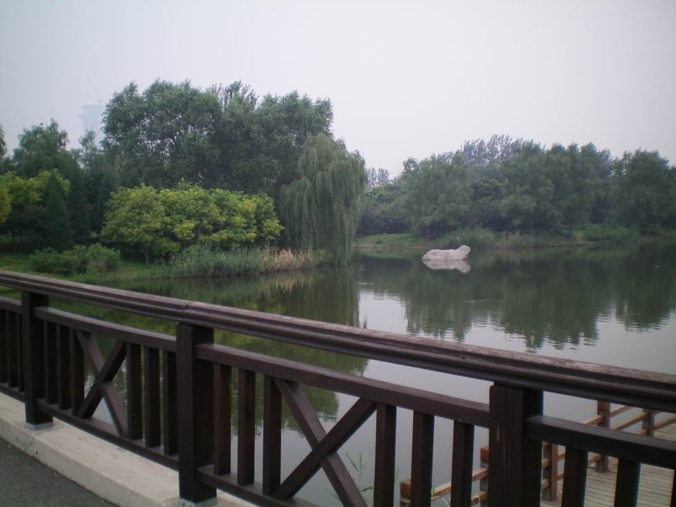 调整大小 北面的小桥下.JPG