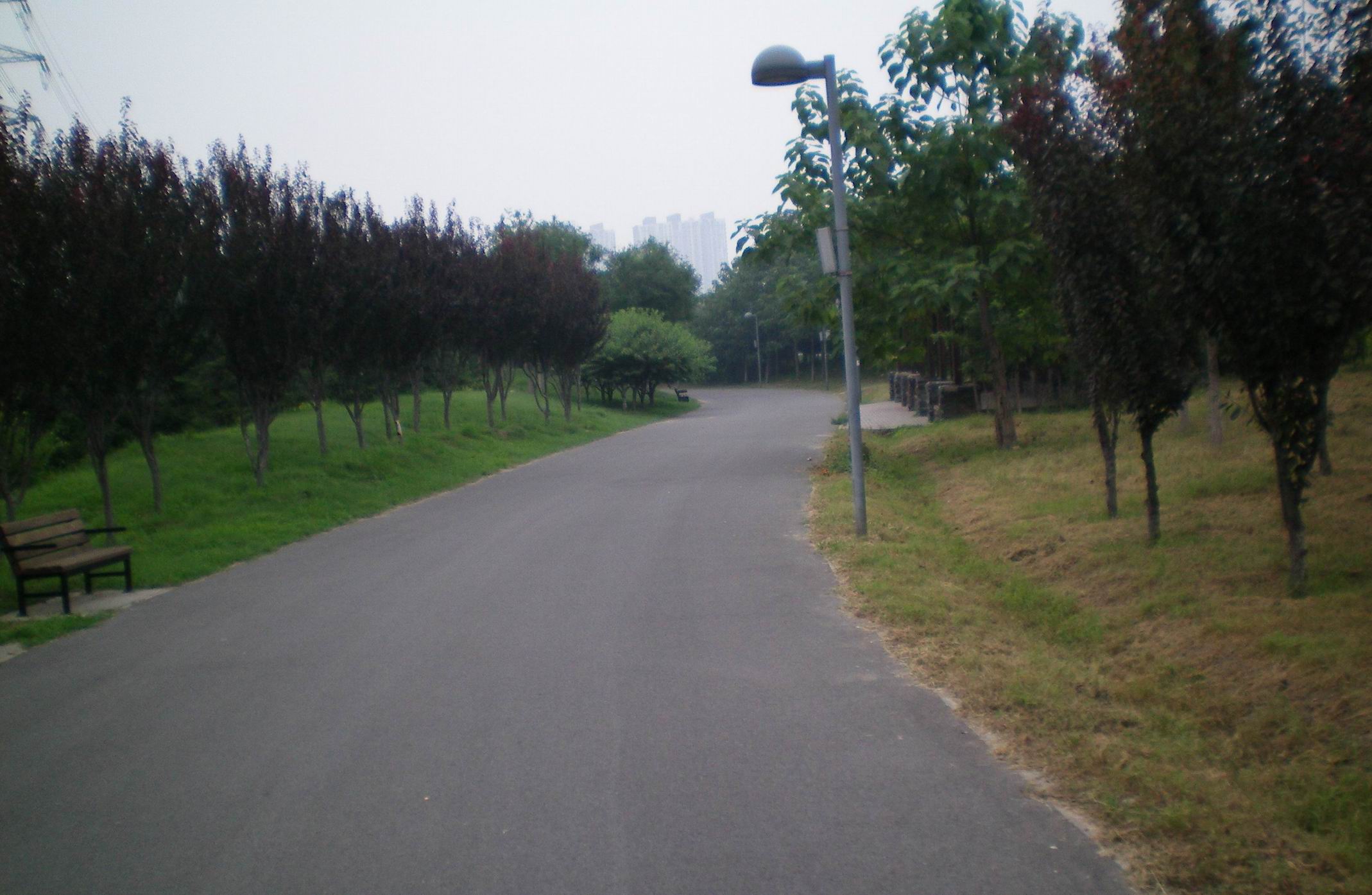 调整大小 东边的路.jpg