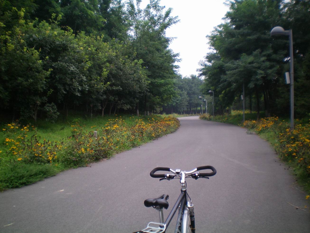 调整大小 西边的路.JPG