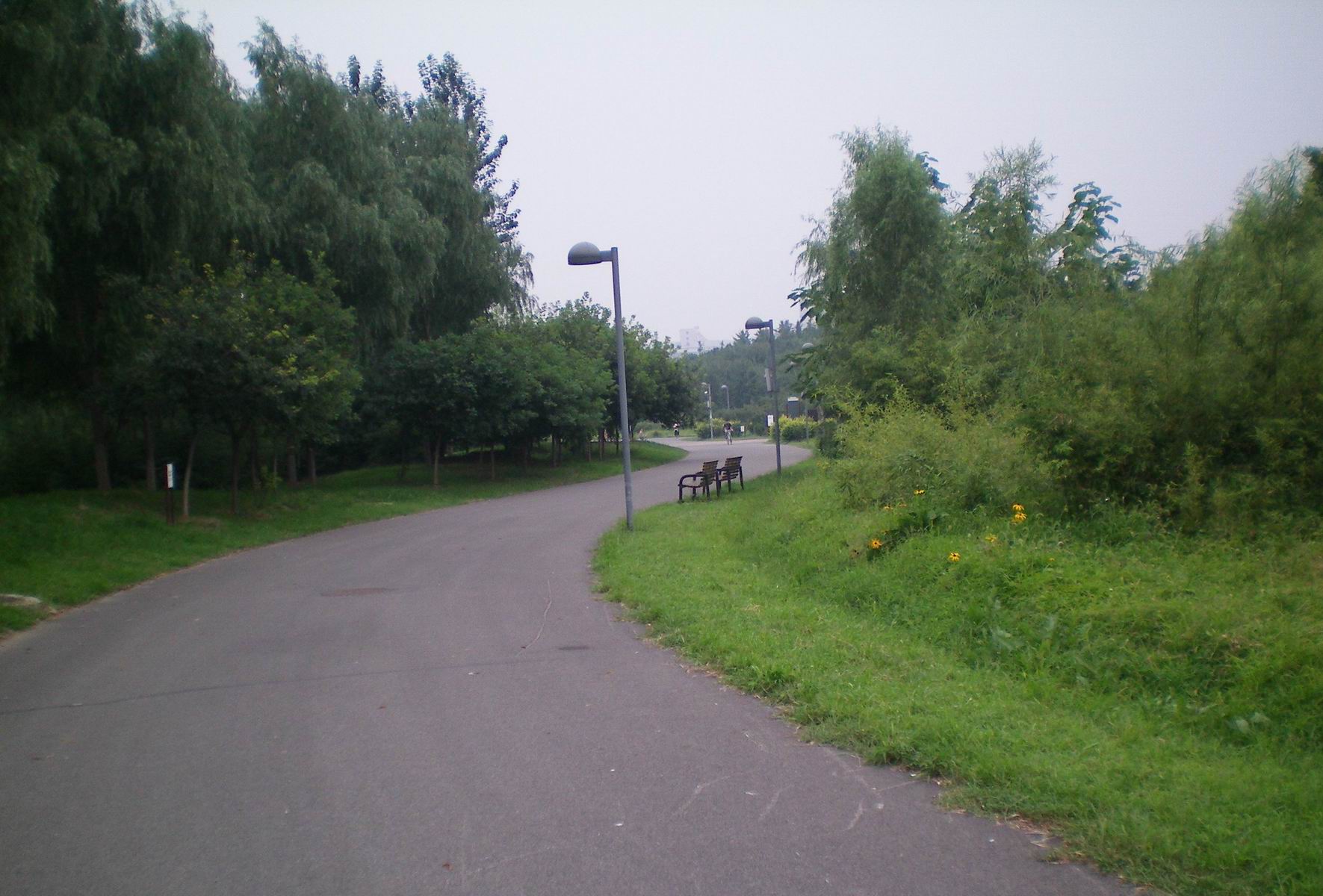 调整大小 中间的路.jpg