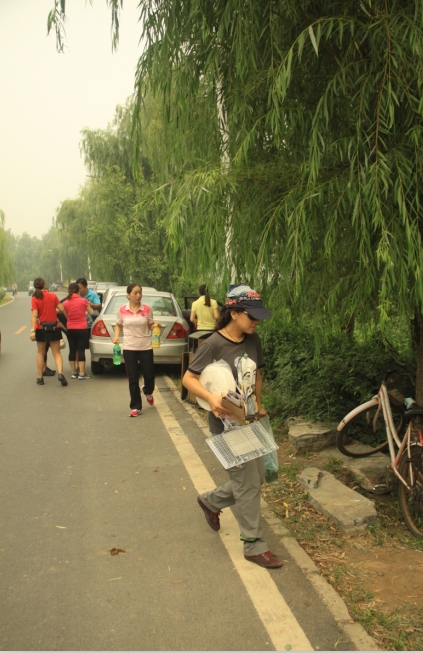 这拿的也有一半的纵火工具