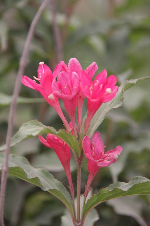 调整大小 IMG_3057.JPG