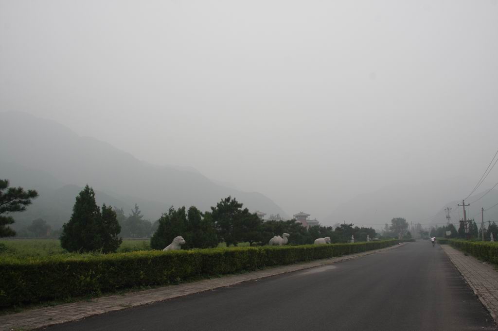 调整大小 IMG_3076.JPG