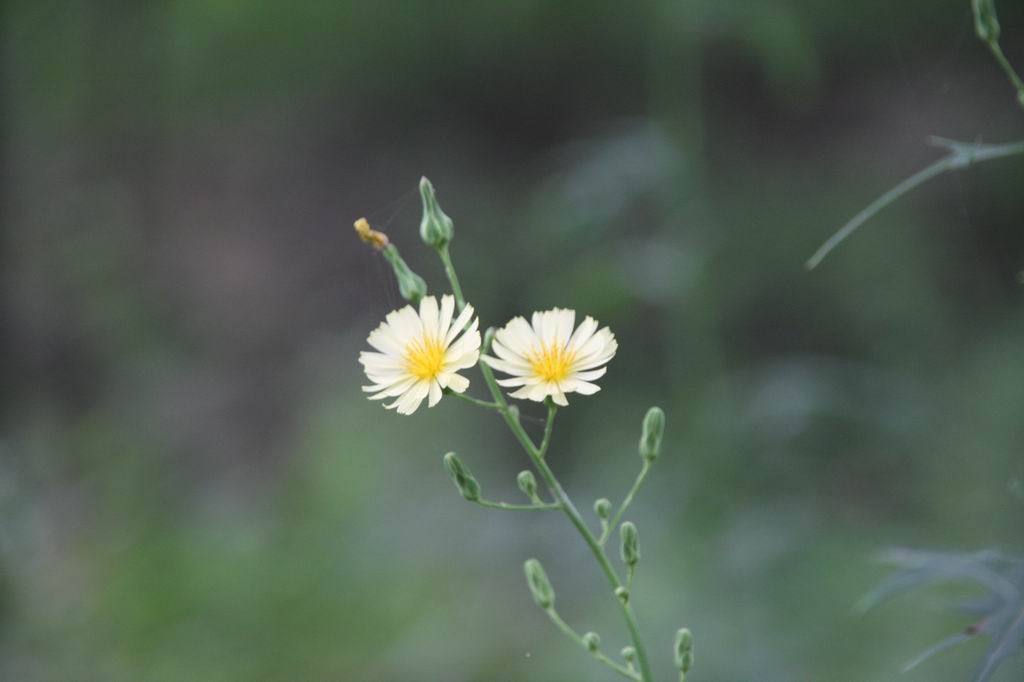 调整大小 IMG_3085.JPG