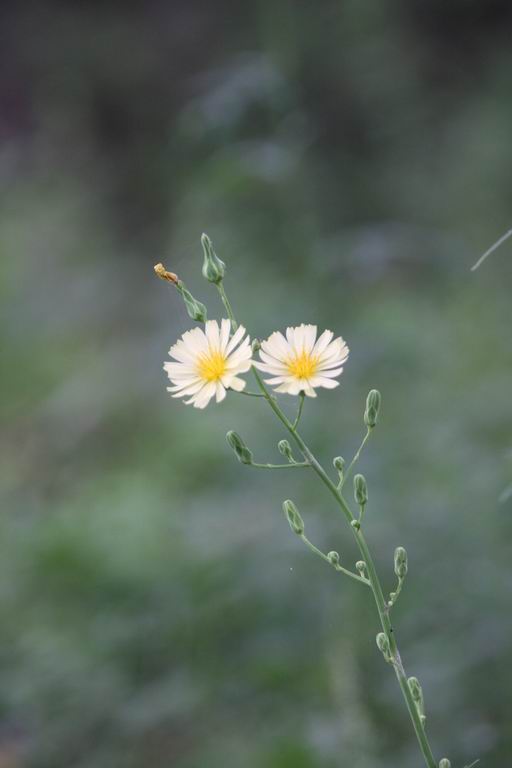 调整大小 IMG_3086.JPG