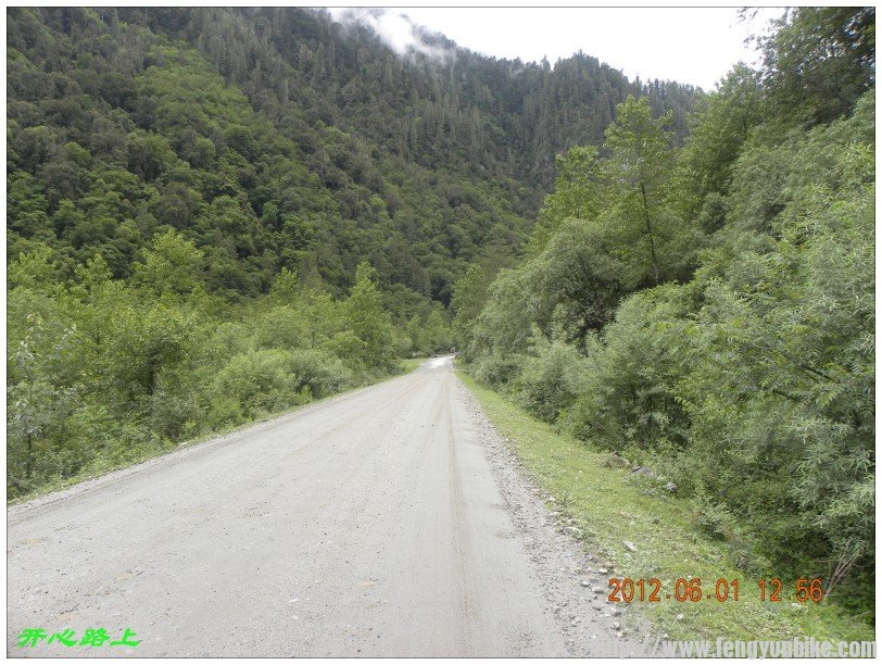 conew_dscn1317.jpg