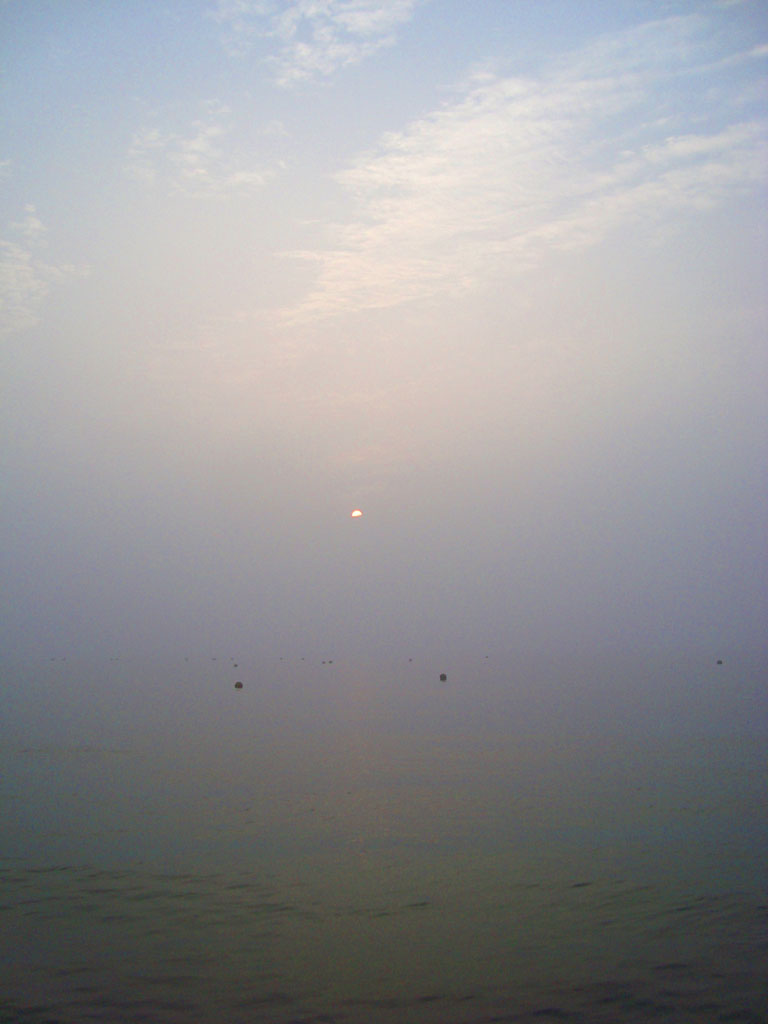 29日出落潮1545 (1).JPG