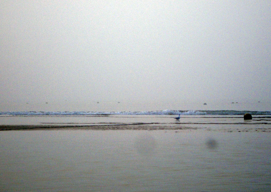 29日出落潮1545 (4).JPG