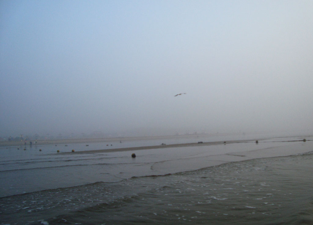 29日出落潮1545 (6).JPG