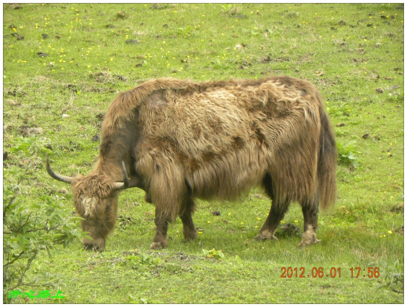 conew_dscn1371.jpg