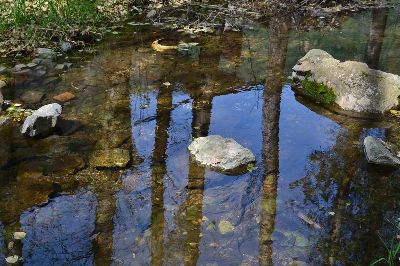 调整大小 DSC_0042.JPG