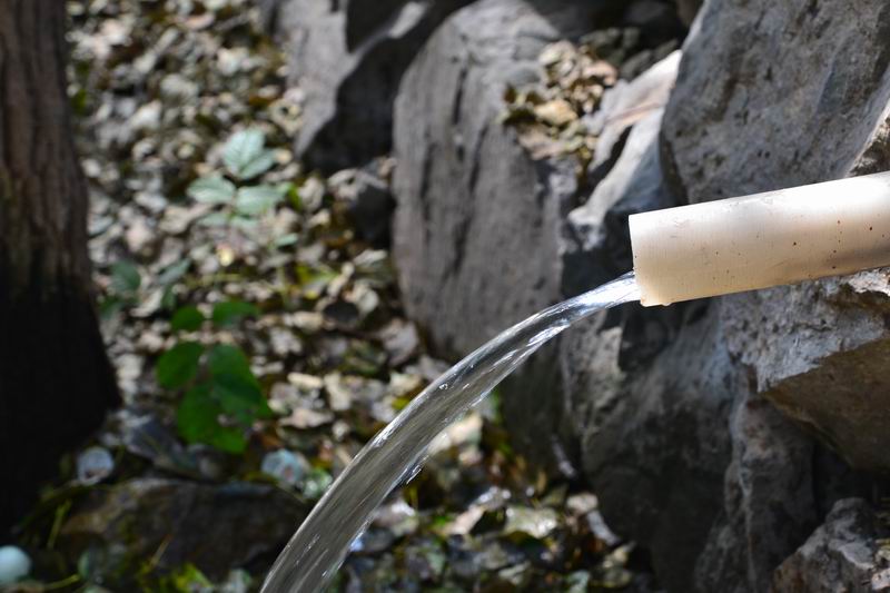 调整大小 DSC_0028.JPG