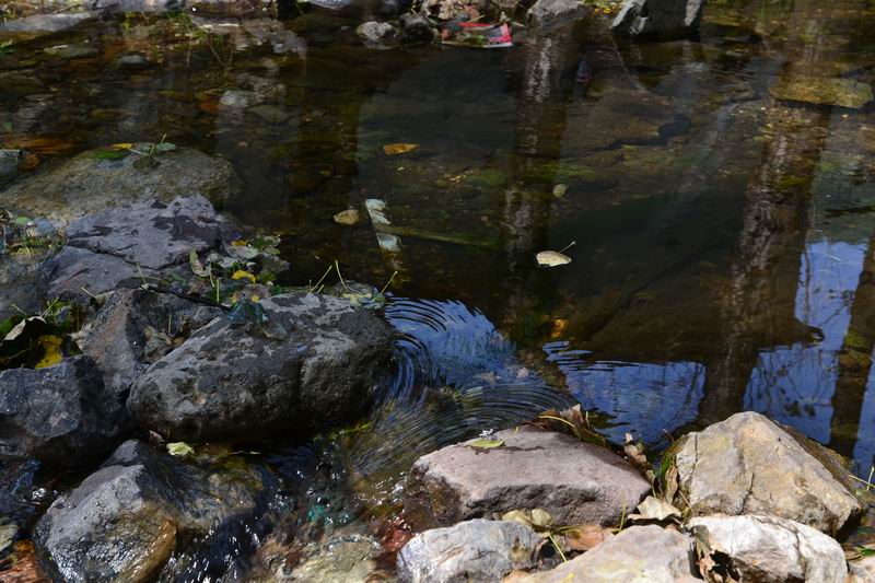 调整大小 DSC_0039.JPG