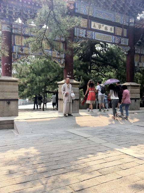 生命是如此的辉煌