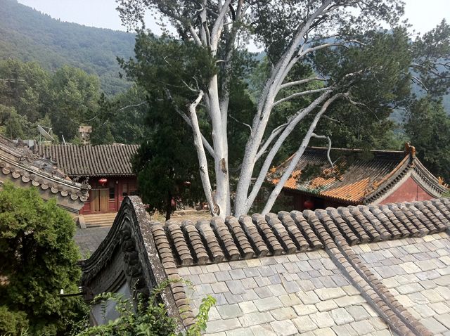 再看一眼清幽的小院准备回家