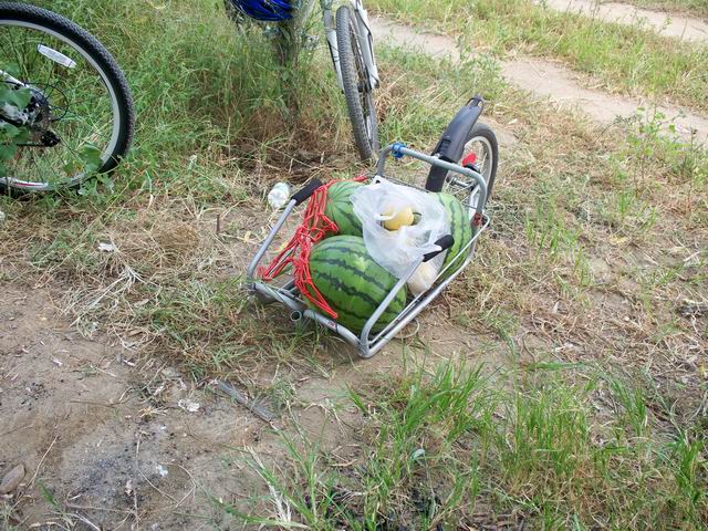 调整大小 100_4890.JPG