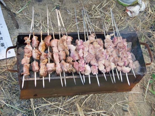 调整大小 100_4904.JPG