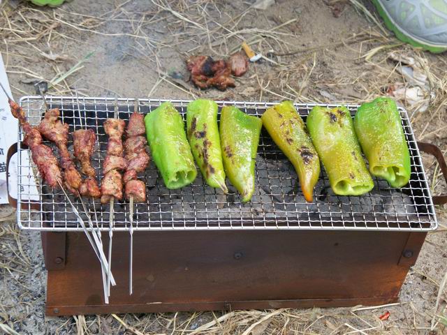 调整大小 100_4924.JPG