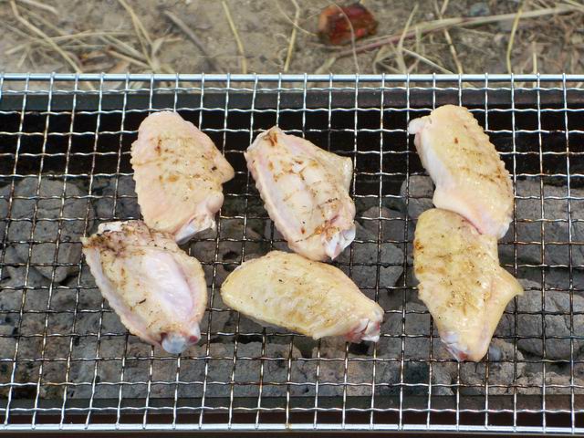 调整大小 100_4932.JPG