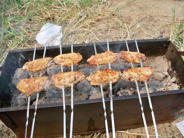 调整大小 100_4940.JPG