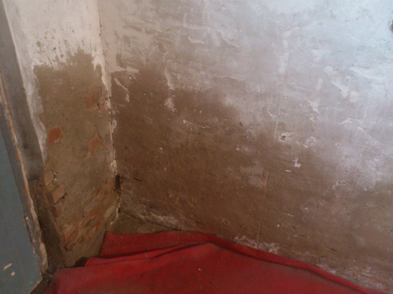 DSC_1251 (800x600).jpg