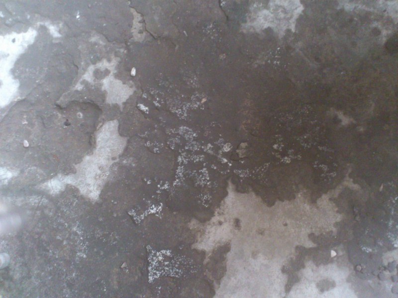 DSC_1253 (800x600).jpg