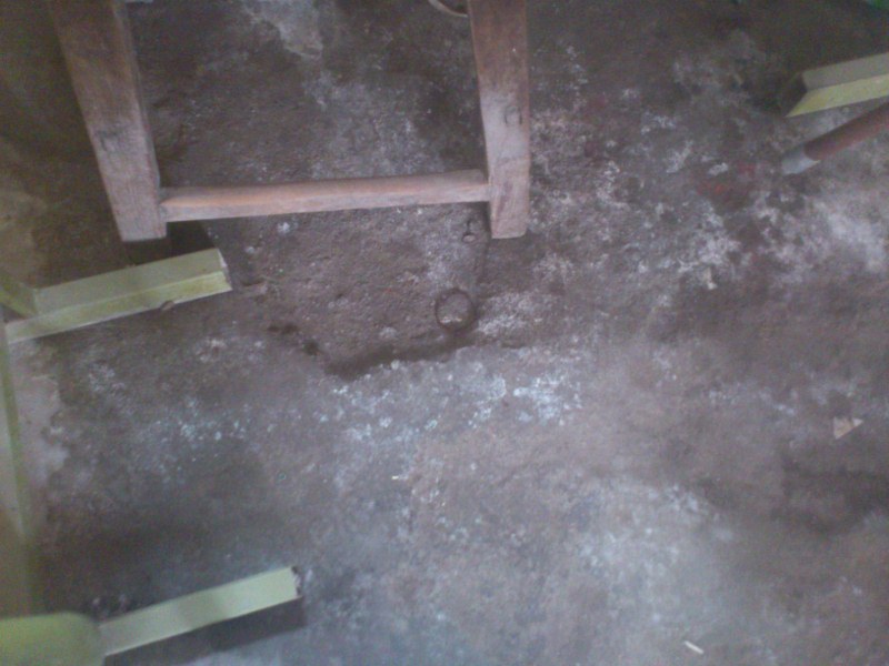 DSC_1254 (800x600).jpg