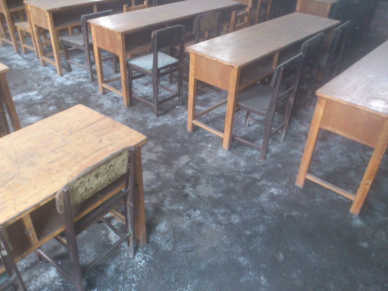 DSC_1255 (800x600).jpg