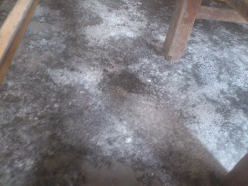 DSC_1256 (800x600).jpg