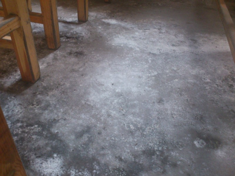 DSC_1258 (800x600).jpg