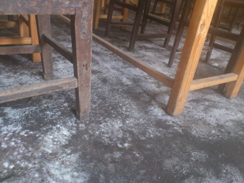 DSC_1259 (800x600).jpg