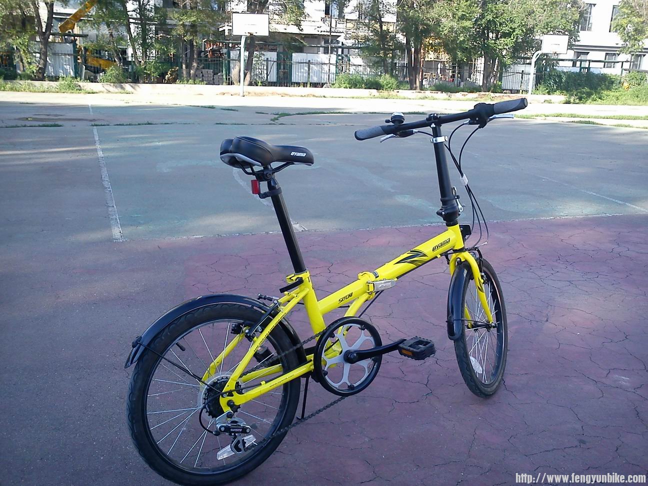 这是在篮球场，能看出来么