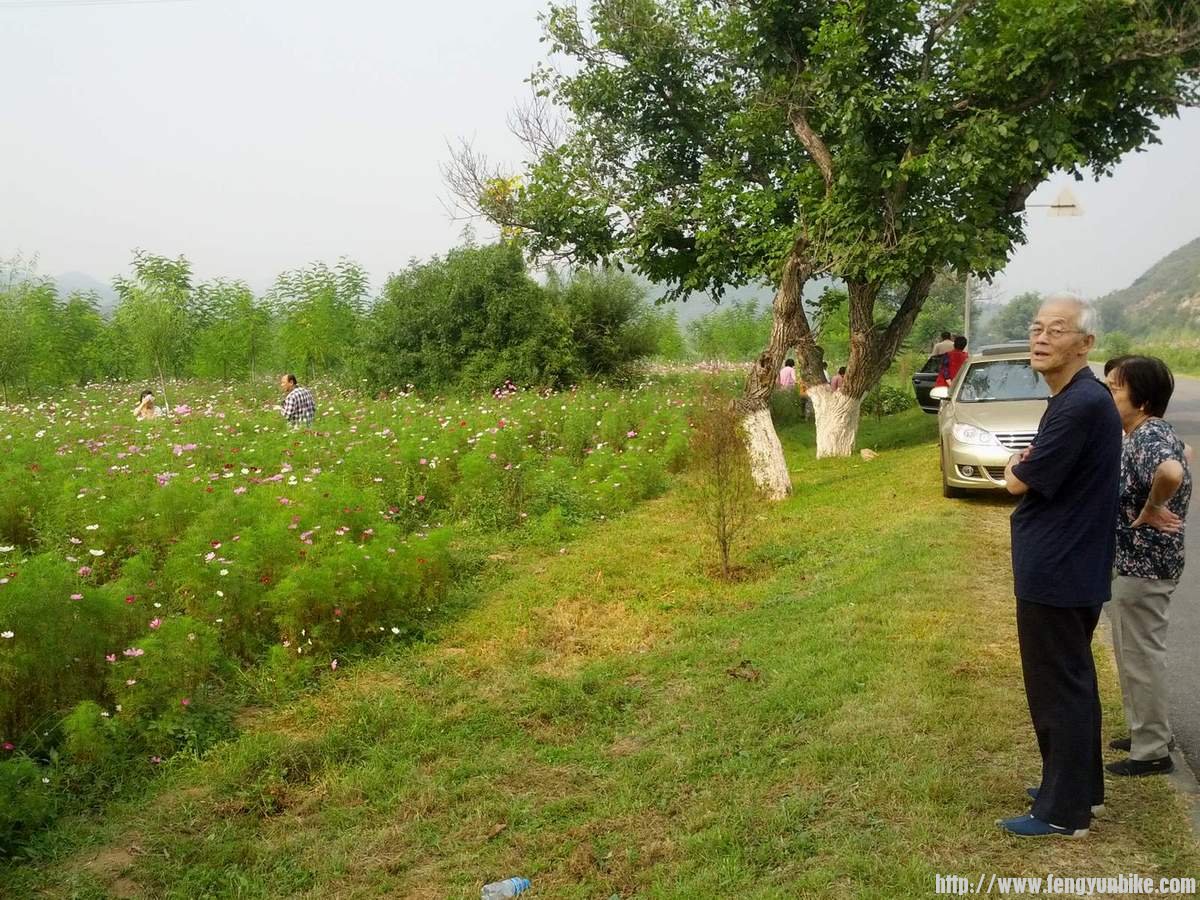 路边随处一片野花处就有游人驻足