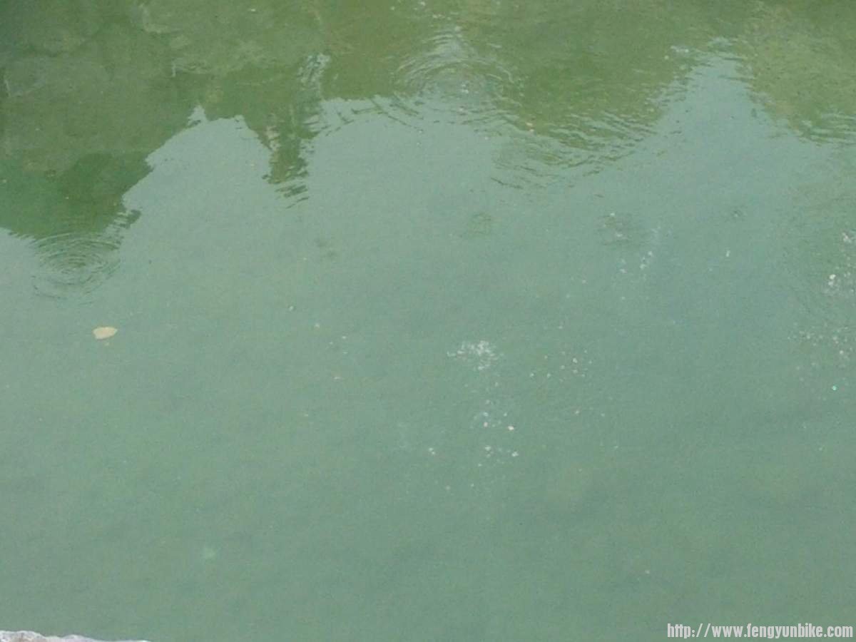 有震动时会有气泡升起，形似珍珠因而得名