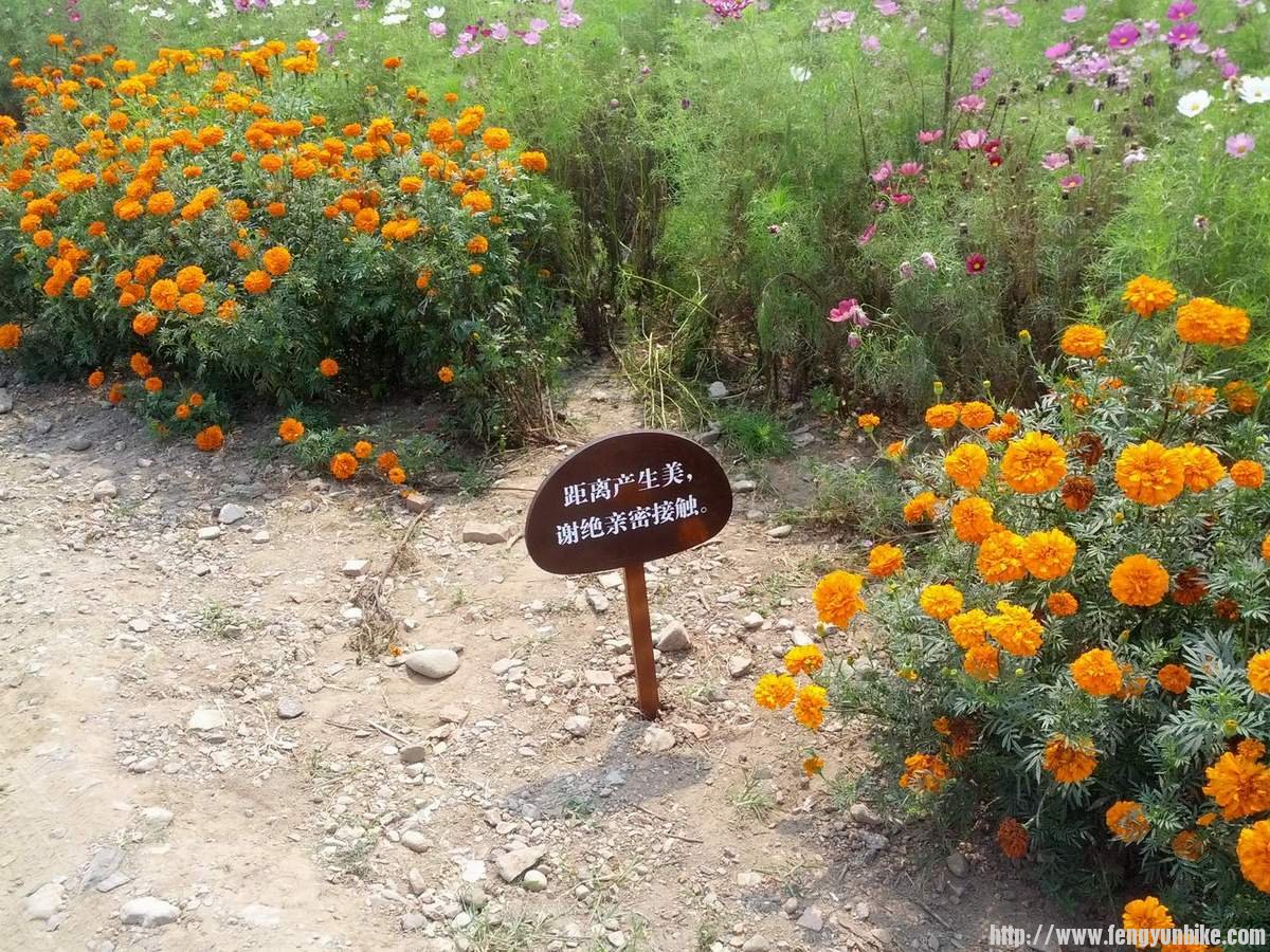 常常被无视的。。。