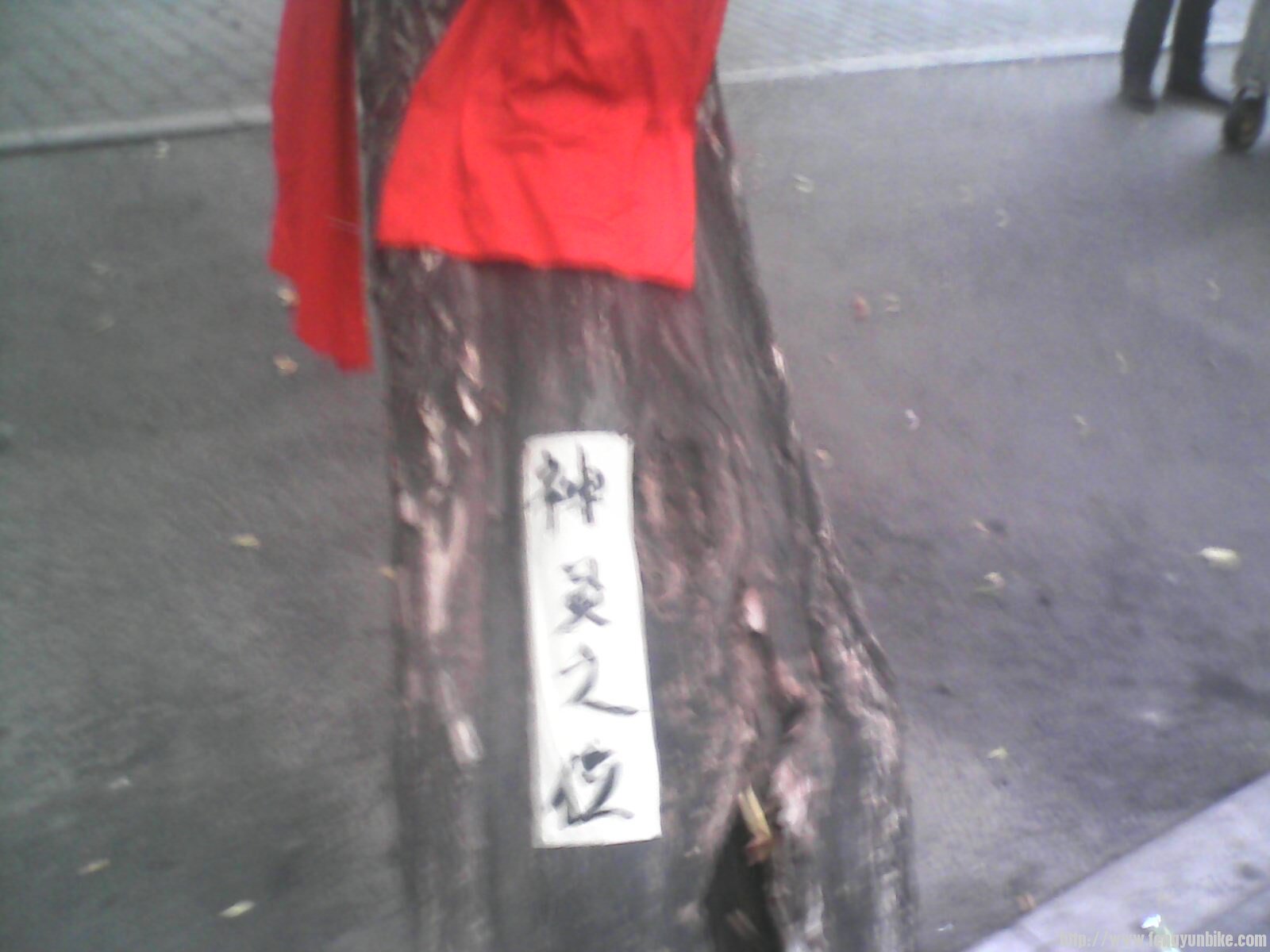 一下出租车就看到了这个