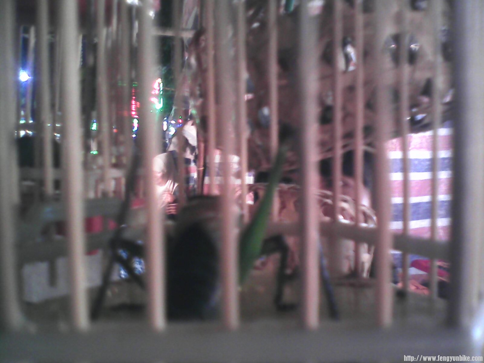 这个忘了叫什么了