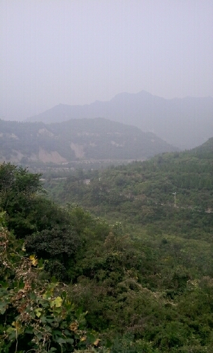 人胖各种停，车停手不停，相机各种拍，雾大了些