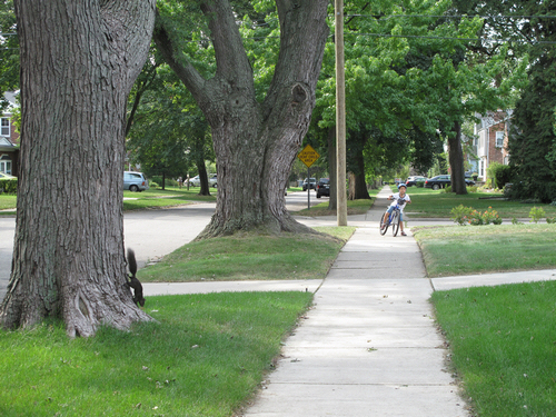 nEO_IMG_2012-09-1 我和小松鼠2.jpg