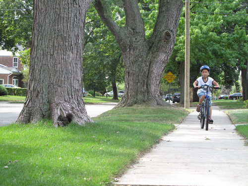 nEO_IMG_2012-09-1 我和小松鼠3.jpg