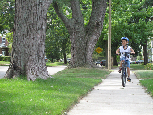 nEO_IMG_2012-09-1 我和小松鼠4.jpg