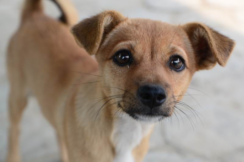 调整大小 DSC_0067.JPG