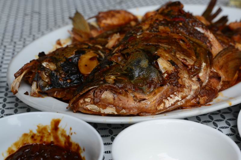 调整大小 DSC_0073.JPG