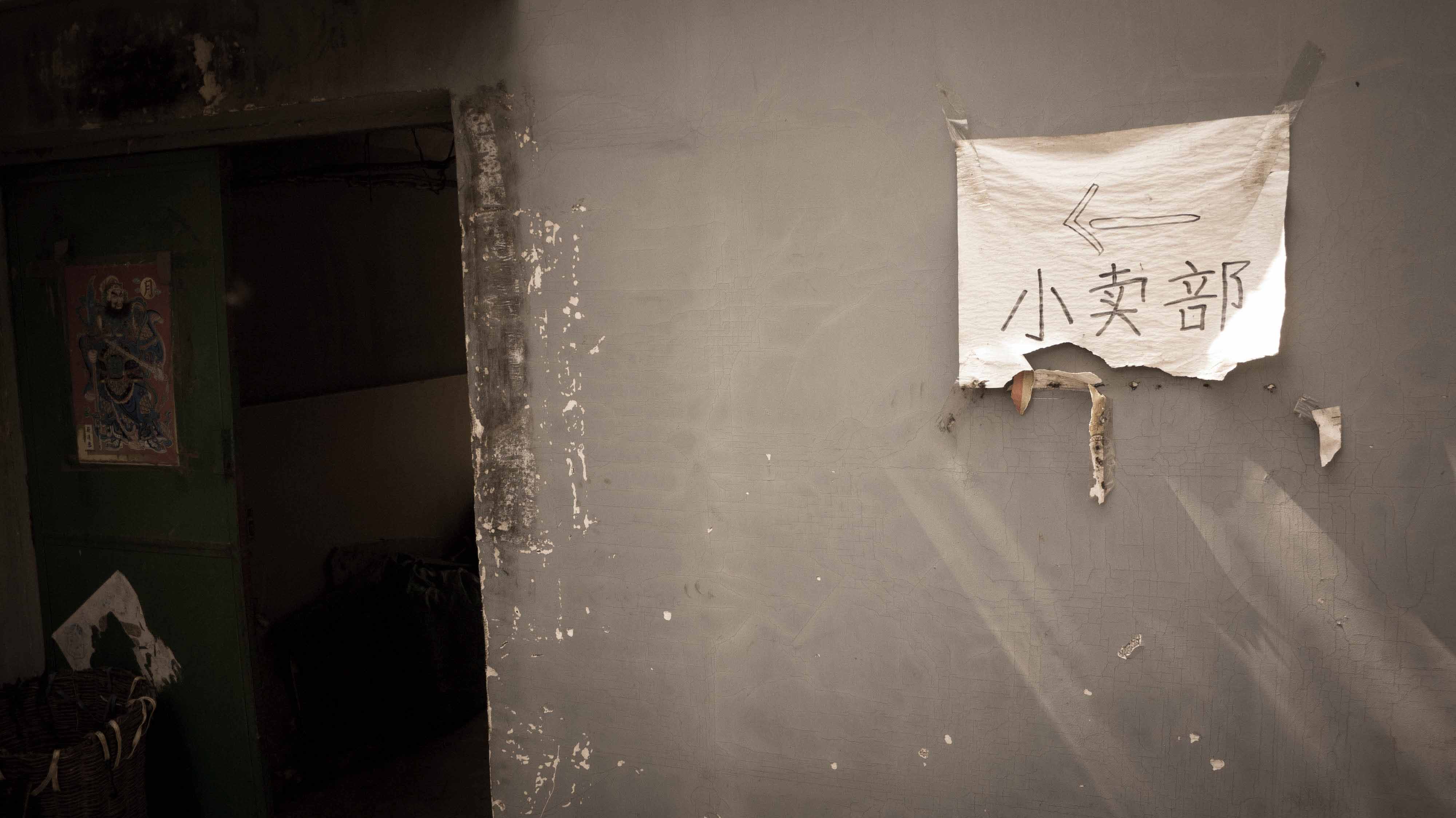 梦里寻它千百度