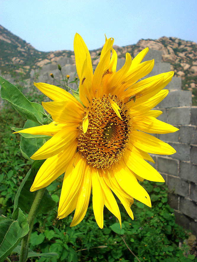 DSC04761.JPG